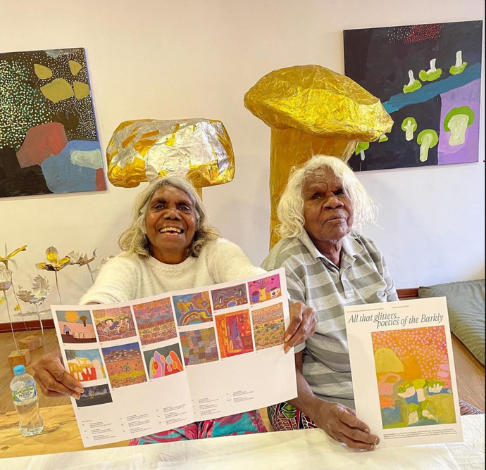 The Artists of the Barkly shine in Darwin show