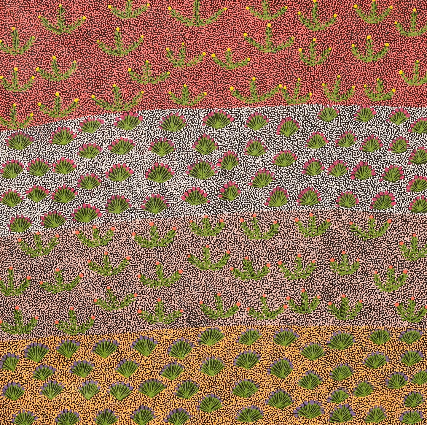 Bush Medicine, 61 x 61 cm