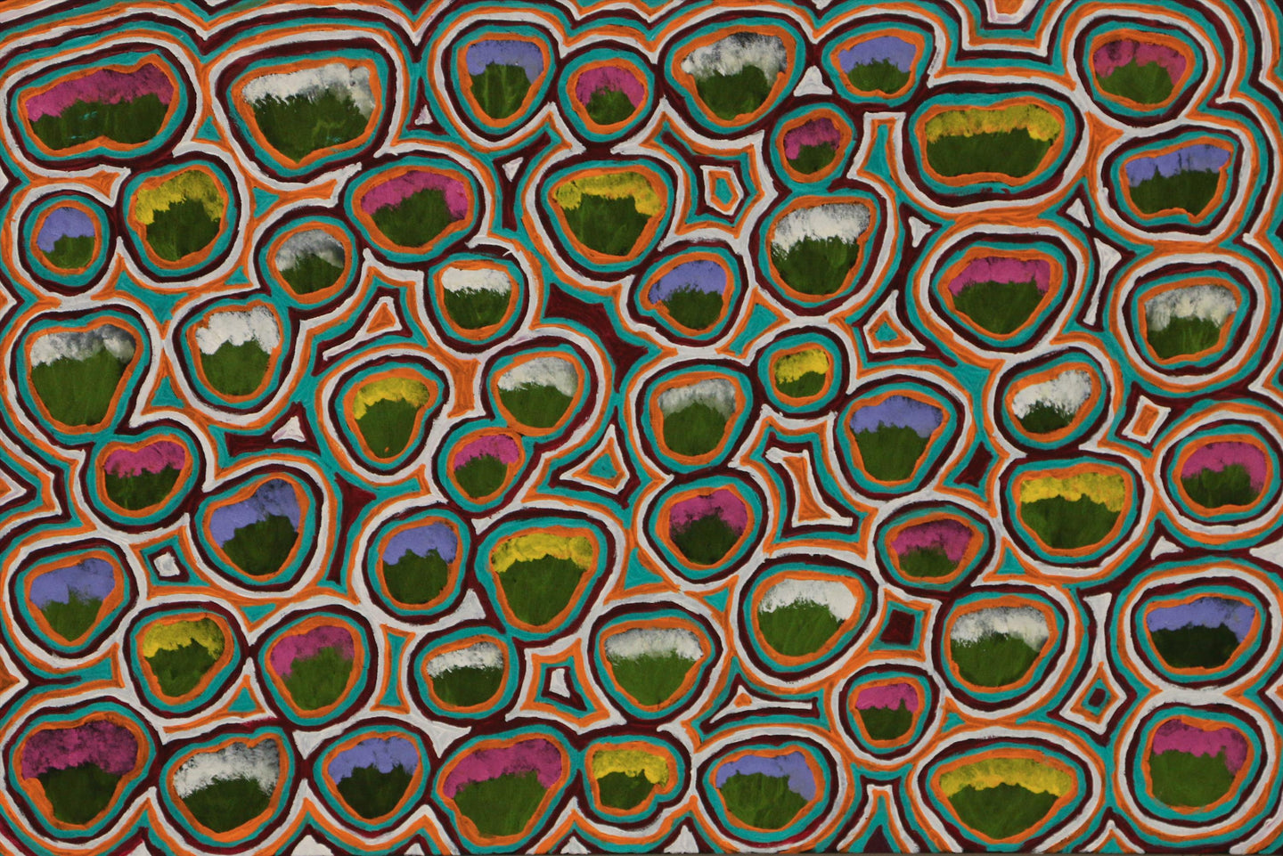 Bush Medicine, 61 x 91cm