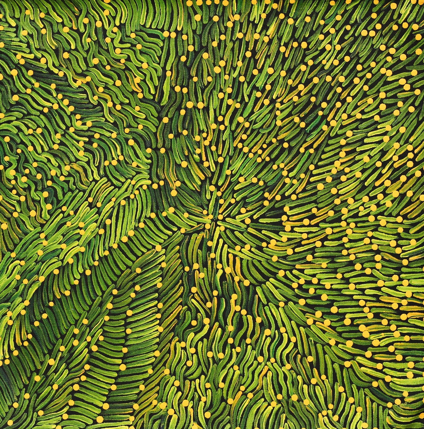 Traditional Bush Medicine, 41 x 41 cm