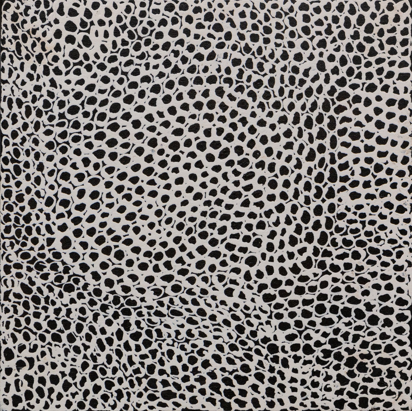 Wattle Seed, 30x30cm